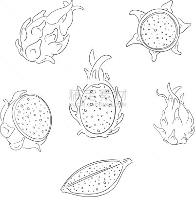 水果,轮廓,龙,完整,火龙果,草图,皮塔雅,直的,食品,切块