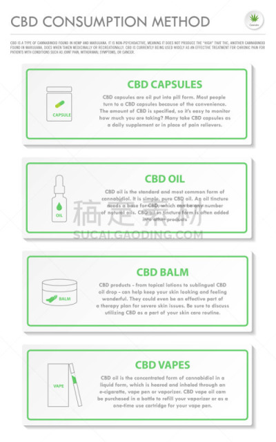 信息图表,垂直画幅,绘画插图,商务,比较,植物,香熏油,心血管系统,人类消化系统