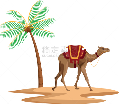 骆驼,卡通,棕榈树,图标,可爱的,旅途,传统,热,游牧民族,野生动物