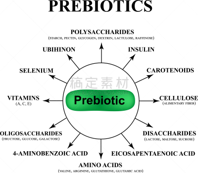 分离着色,生物学,微生物学,健康保健,食品,革兰氏染色剂,表现积极,图像,大群动物,乳杆菌