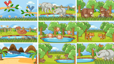 background scenes animals in wild