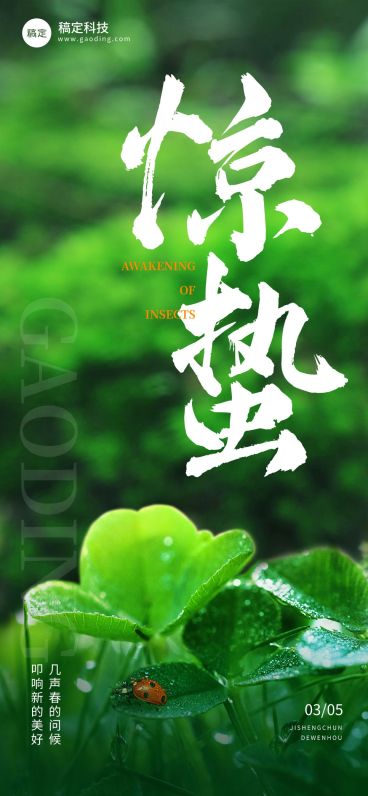 企业惊蛰节气祝福实景感全屏竖版海报预览效果