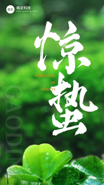 企业惊蛰节气祝福实景感全屏竖版海报