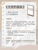 模板缩略图