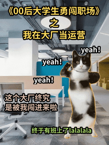 猫meme趣味玩梗小红书动态封面AIGC