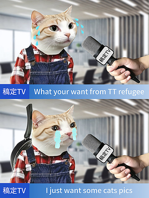 爆款吸睛表情包梗图小红书封面aicg