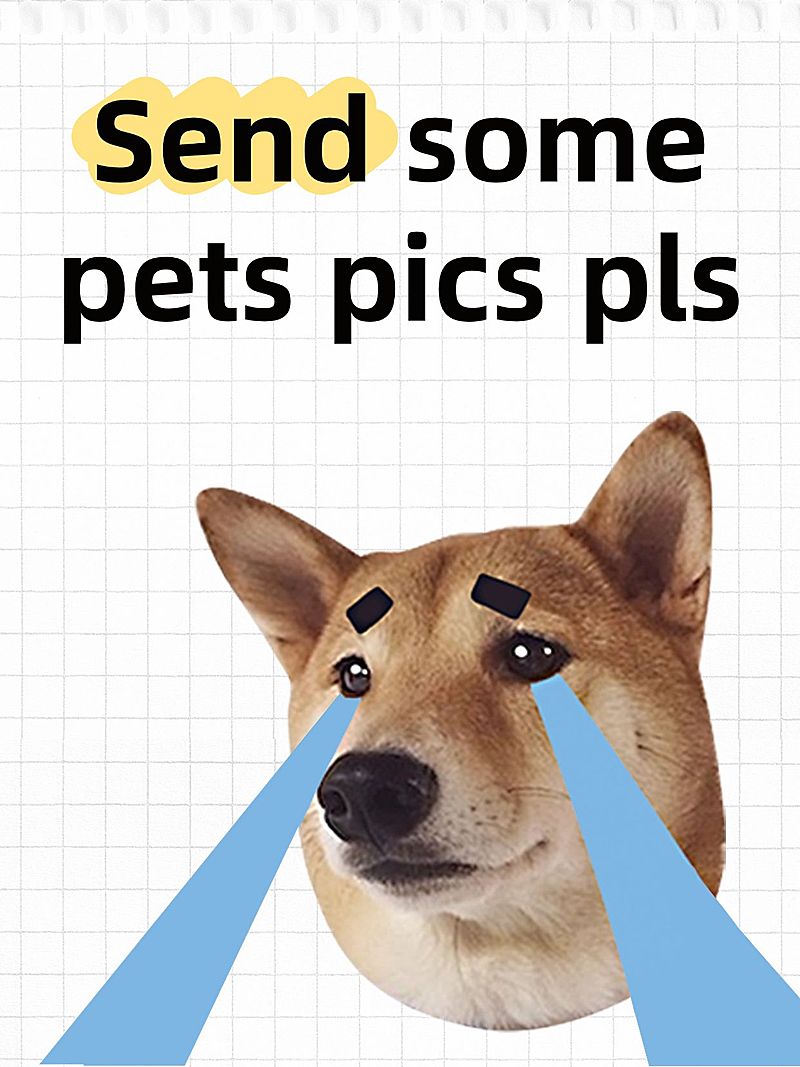 爆款表情包MEME梗图小红书封面