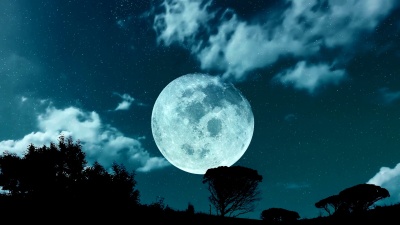 夜晚的大月亮