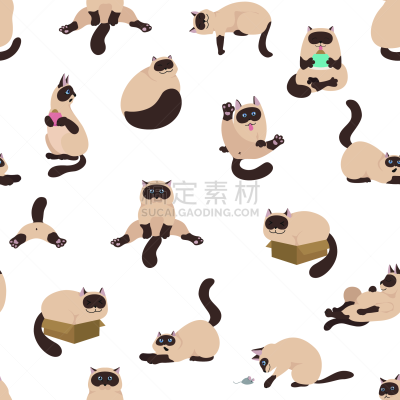 猫,性格,瑜伽,暹罗猫,卡通,四方连续纹样,式样,与众不同,彩色图片,极简构图