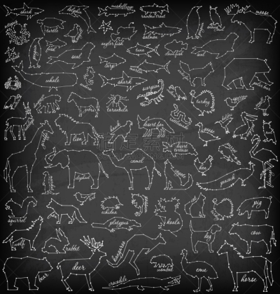动物,抽象,猴子,斑马,狮子,海豚,象,海星,鸟类,狐狸