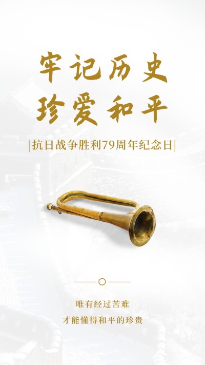 抗日战争胜利周年纪念日政务感手机海报