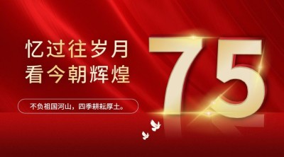 十一国庆节祝福红金横版海报