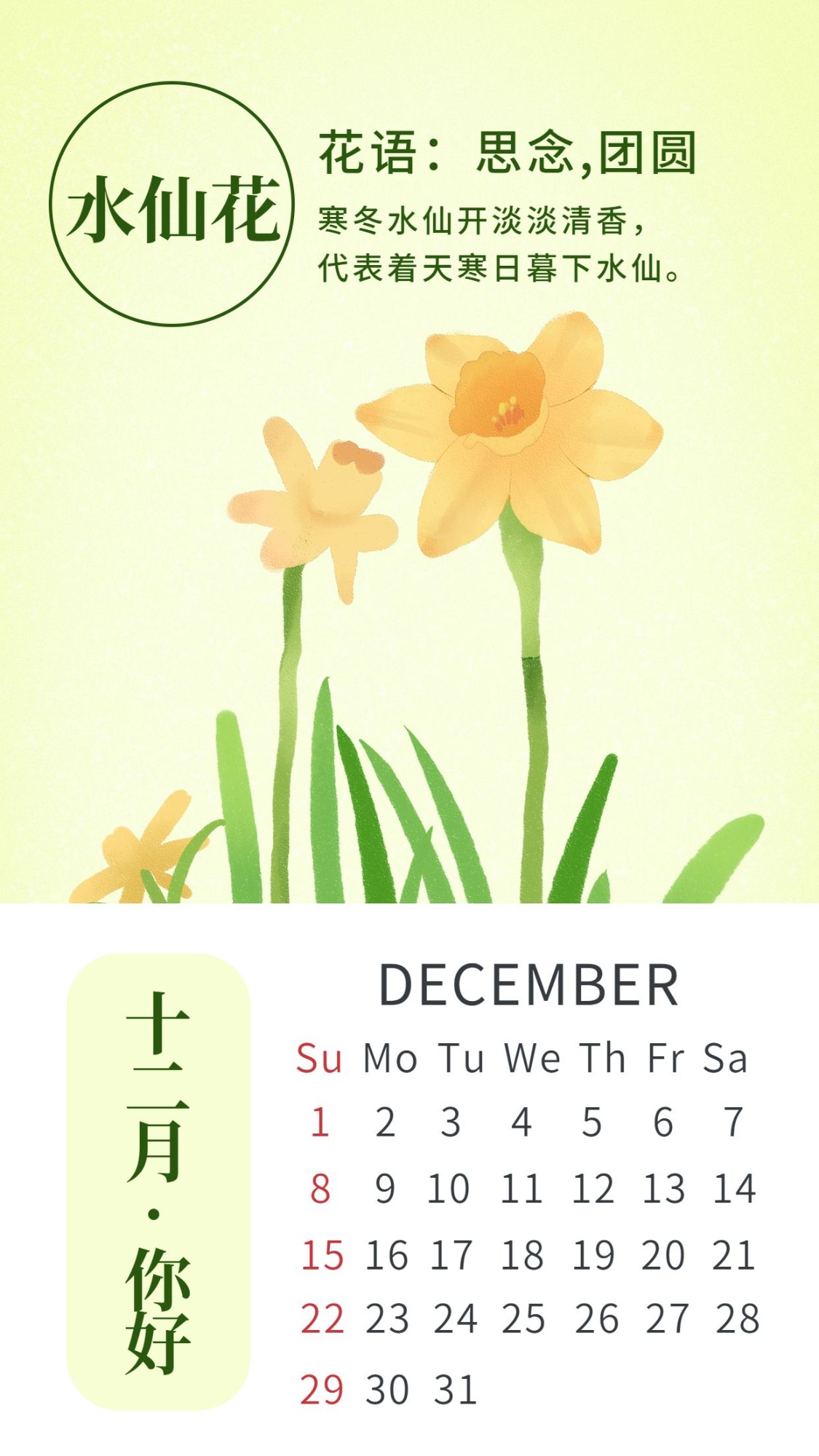 点击进入编辑 通用12月你好简约手绘手机海报预览效果