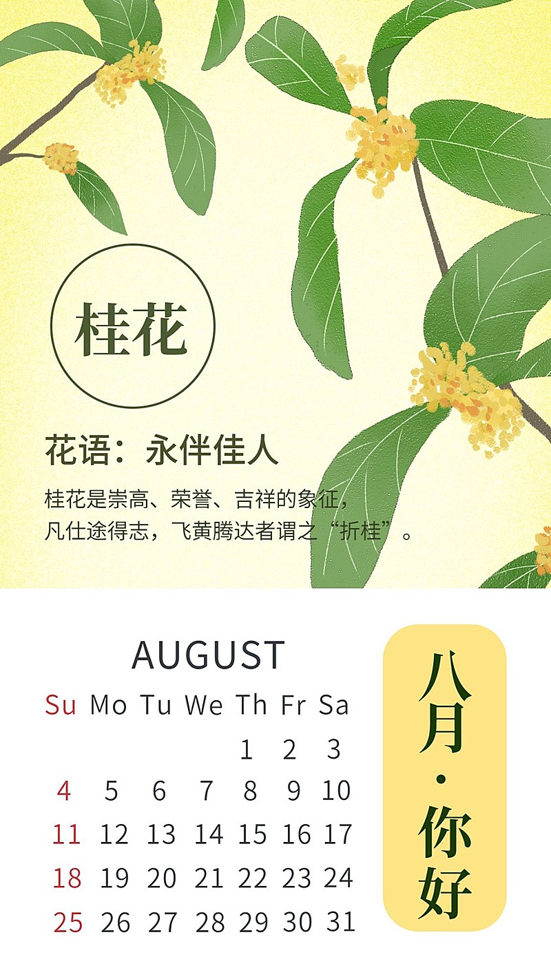 通用八月你好月初问候手绘手机海报