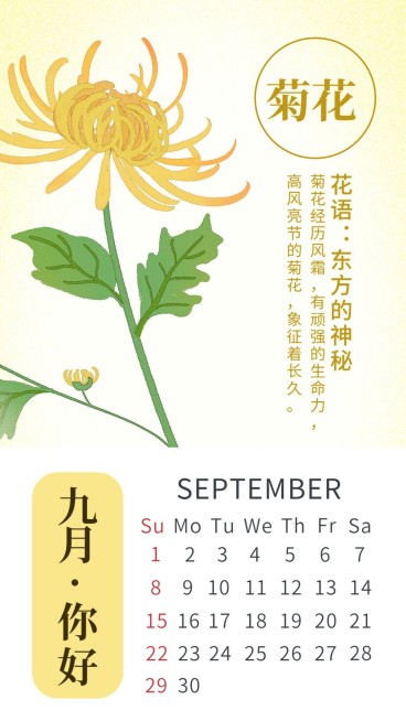 菊花九月月签中国风手机海报预览效果
