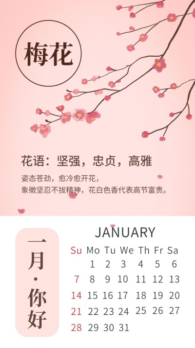 通用一月你好日历手绘手机海报