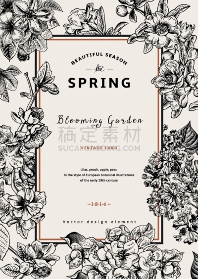 春天,矢量,垂直画幅,贺卡,华丽的,请柬,清新,菜园,浪漫,环境