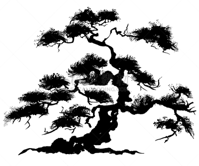 日本松,盆景,绘画插图,动物手,自然,水彩画颜料,画笔,图像,松科,枝