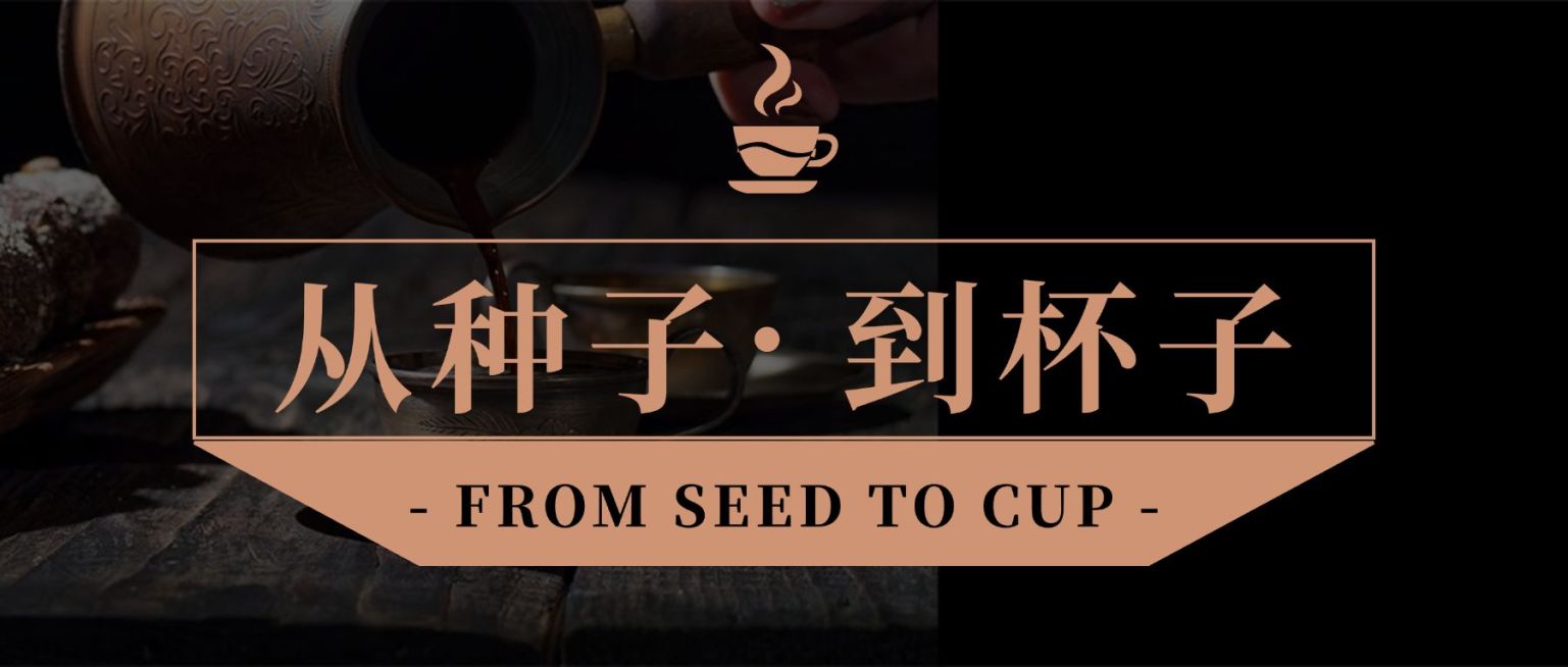 预约课程咖啡生活方式线下活动预览效果