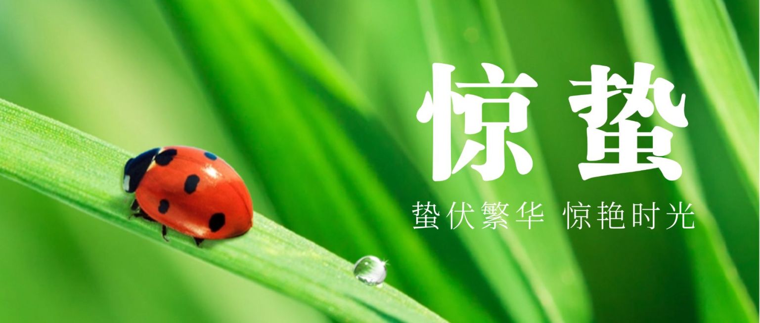 惊蛰节气祝福问候创意公众号首图预览效果