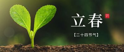 立春祝福春天实景公众号首图
