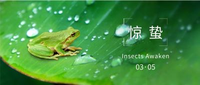 惊蛰公众号首图