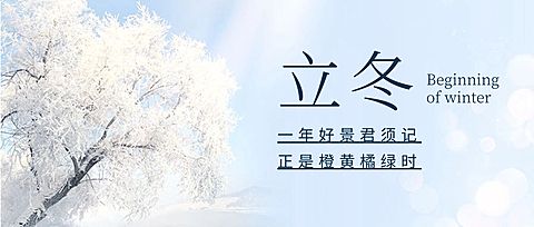 立冬节气树枝落雪实景祝福公众号首图