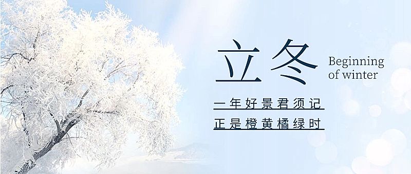 立冬节气树枝落雪实景祝福公众号首图