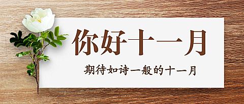 十一月初问候鲜花实景公众号首图