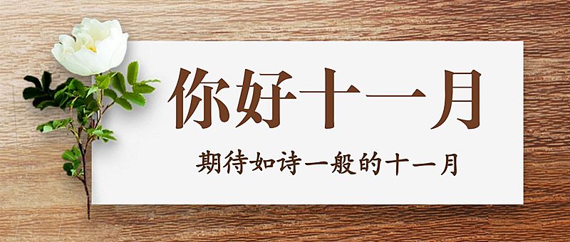 十一月初问候鲜花实景公众号首图