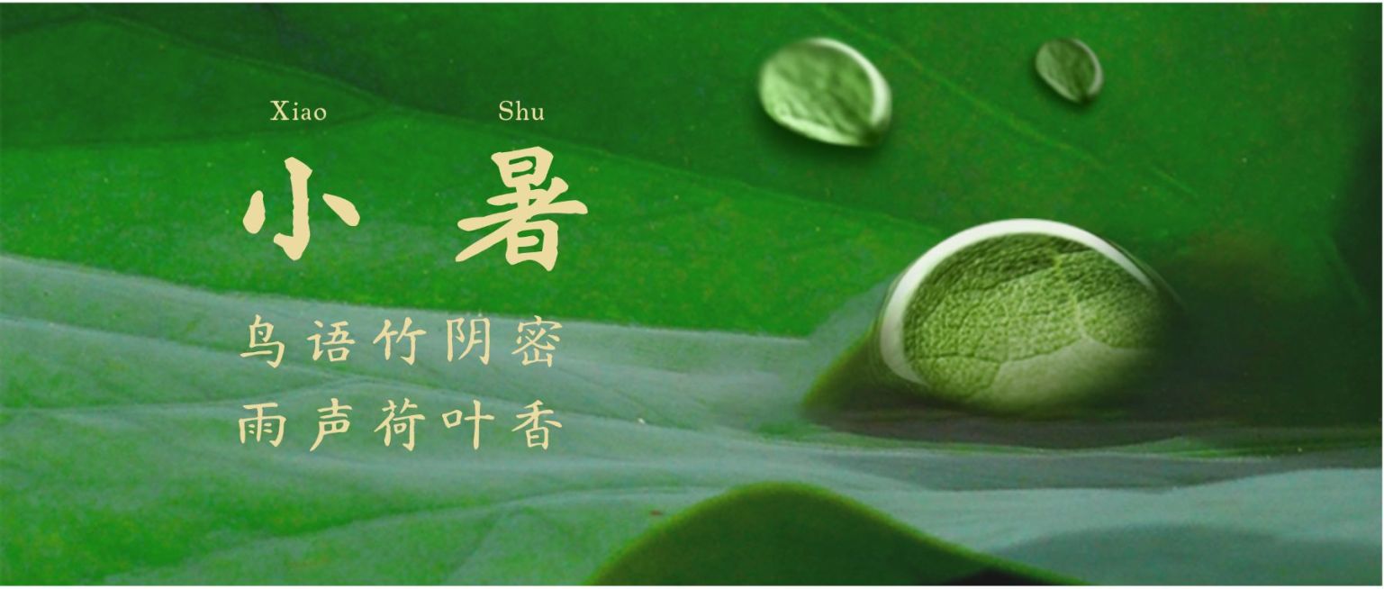 小暑节气祝福夏季实景公众号首图预览效果