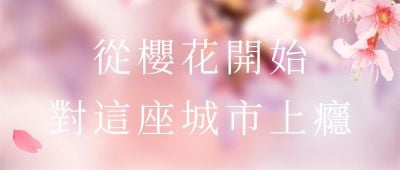 旅游出行春天樱花节新品上市浪漫活动清新实景公众号首图