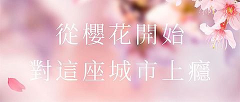 旅游出行春天樱花节新品上市浪漫活动清新实景公众号首图