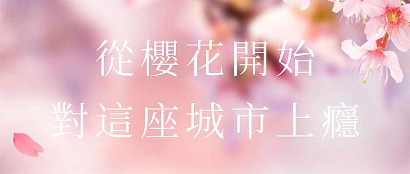 旅游出行春天樱花节新品上市浪漫活动清新实景公众号首图