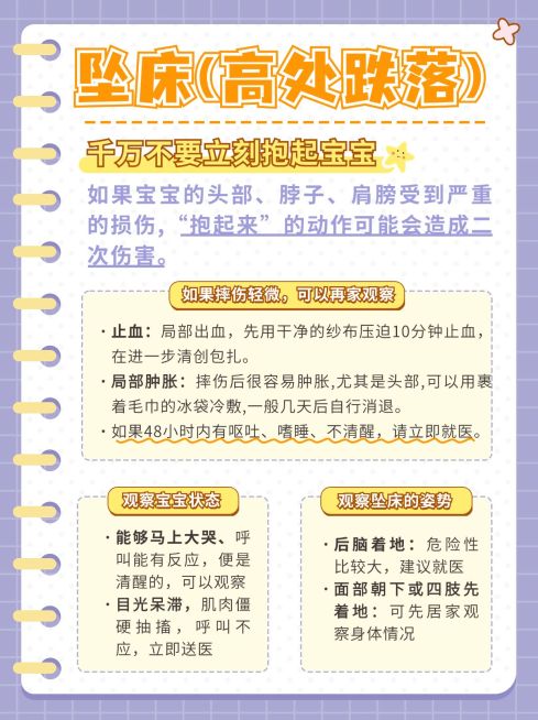 母婴亲子知识科普小红书套装预览效果