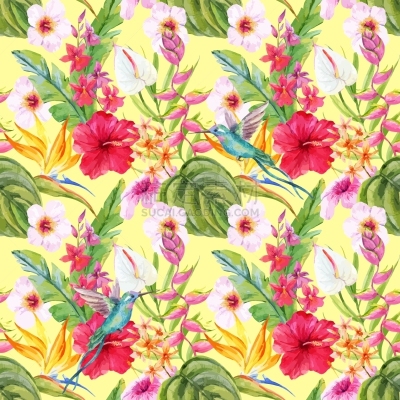 鸡尾酒,水彩画,花纹,自然,兰花,热带雨林,图像,木槿属,叶子,矢量