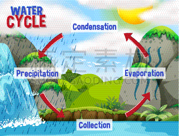 科学,泥土,Water Cycle,生物学,热,脚踏车,地下水,天气,植物群,流动