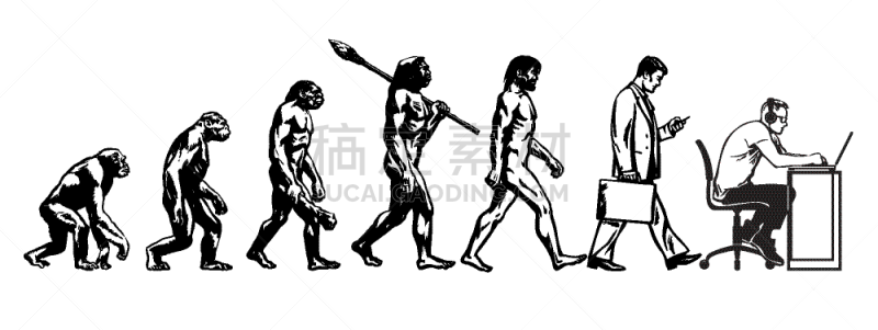 理论设计标签,男人,南方古猿,猴子,计算机,灵长目,猿,进化,坐,绘制