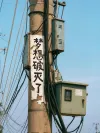 书模