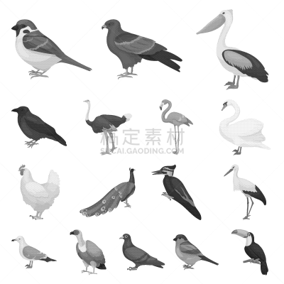鸟类,分离着色,牲畜,图像,动物,孔雀,品牌名称,捕猎行为,矢量,收集