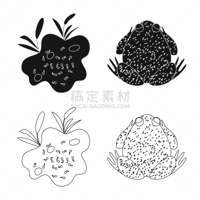 野生动物,分离着色,藓沼,图标,一个物体,生物学,有毒物质,灰色,环境,青蛙