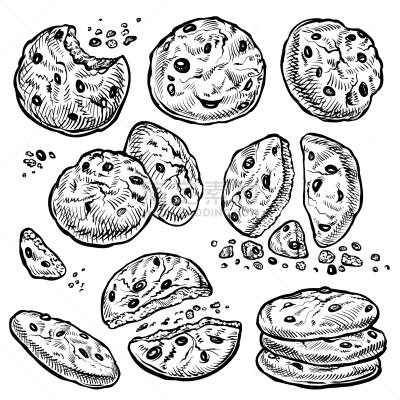 碎屑,自制的,绘画插图,咬一口,完整,矢量,饼干,巧克力脆饼,巧克力脆片,传统