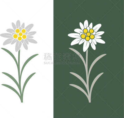 火绒草,香料,多样,植物群,成分,自然美,棍,调味品,春天,花