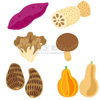 日本,秋天,蔬菜,矢量,九月,十月,食品,简单,成分
