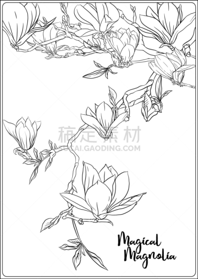 枝,玉兰类,轮廓,书,自然,清新,艺术,花蕾,叶子,春天