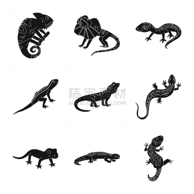 环境,动物园,品牌名称,热,飘然,灰色,野生动物,哺乳纲,蜥蜴,设计
