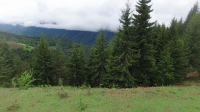 雷雨后飞越山谷