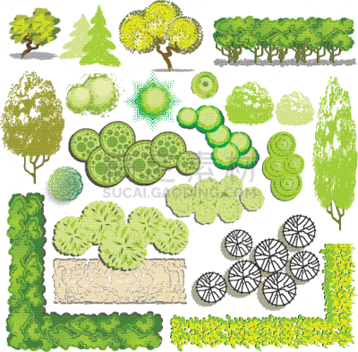 建筑,植物群,反差,建筑师,地形,夏天,绿色,自然,树,布置