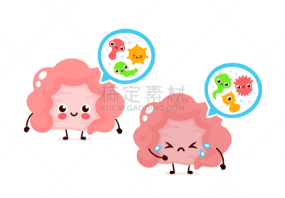 放大效果,肠道,人类消化系统,回肠,人,可爱的,性格,生物学,健康保健