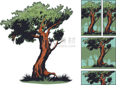 分离着色,肉汁,白色背景,农业,自然,季节,清新,生活方式,图像,树